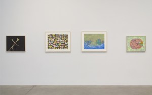 Installation View, "Thomas Nozkowski" Pace Gallery